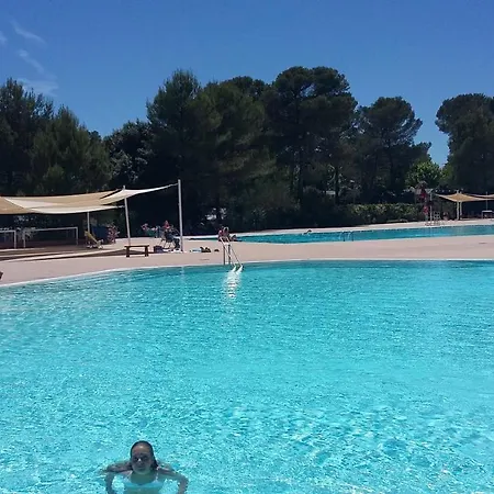 Pin De La Legue Kemp *