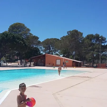 Pin De La Legue Fréjus